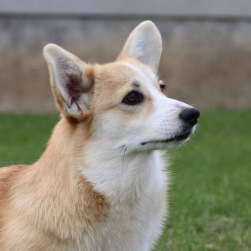 WhatsApp Image 2025-07-24 at 14.25.49_24606440