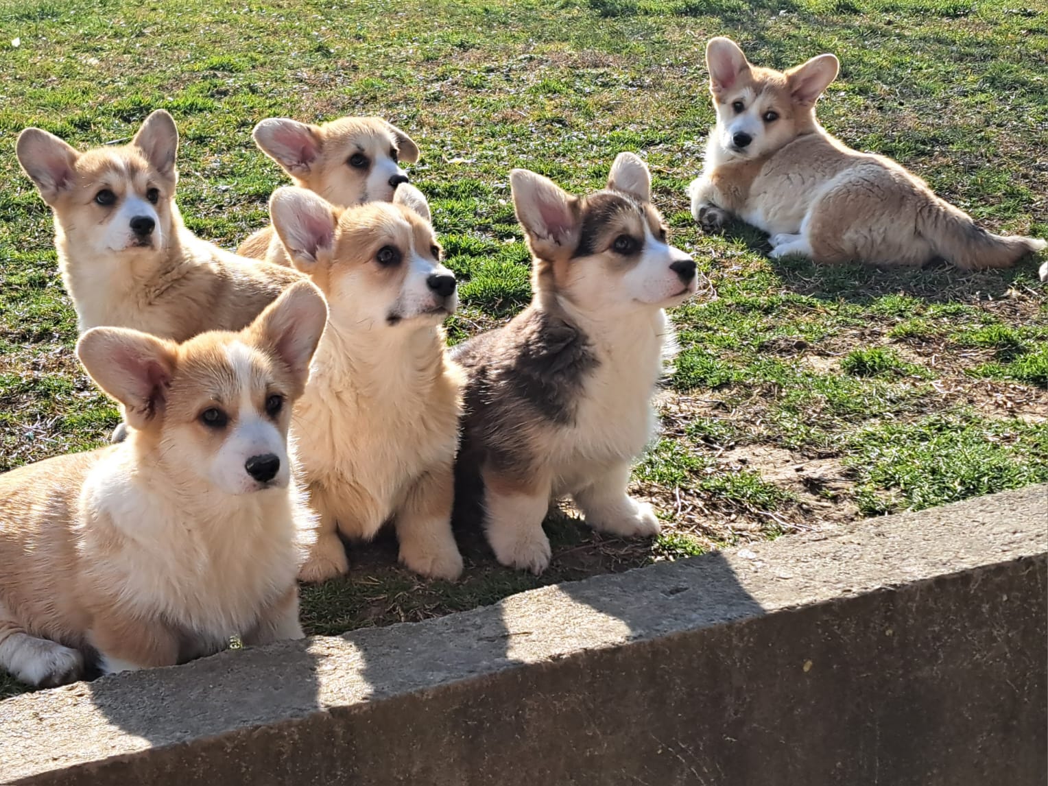 WhatsApp Image 2025-07-25 at 14.36.37_c68028ee