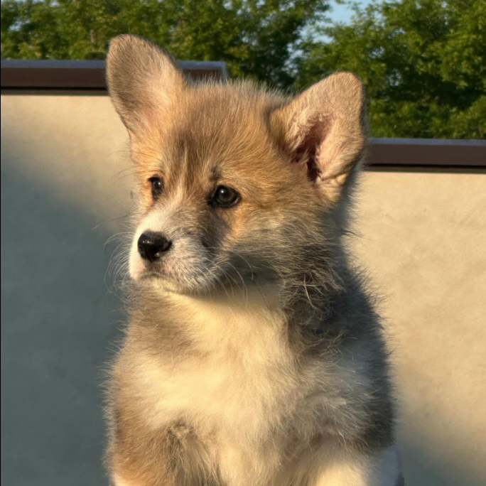 viber_slika_2025-07-25_13-47-19-434