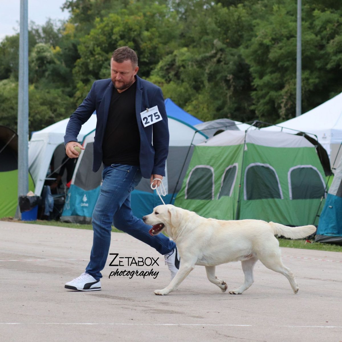 242313071_383477546738990_7033401269918765051_n