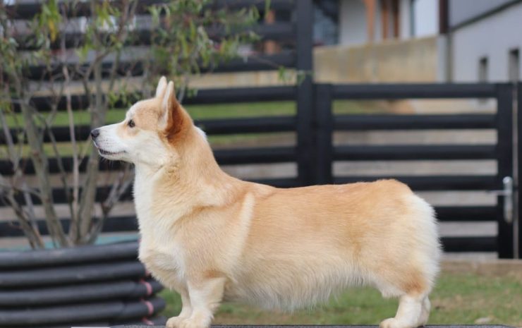 WhatsApp Image 2025-07-24 at 14.13.53_5870a3c8