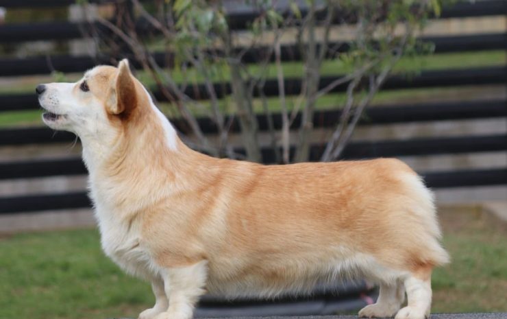 WhatsApp Image 2025-07-24 at 14.30.28_f2b19ac6