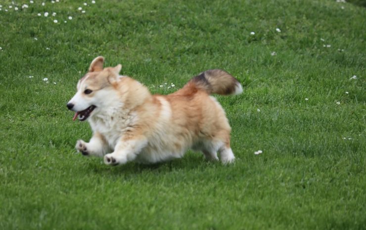 WhatsApp Image 2025-07-24 at 16.05.31_e394d2eb